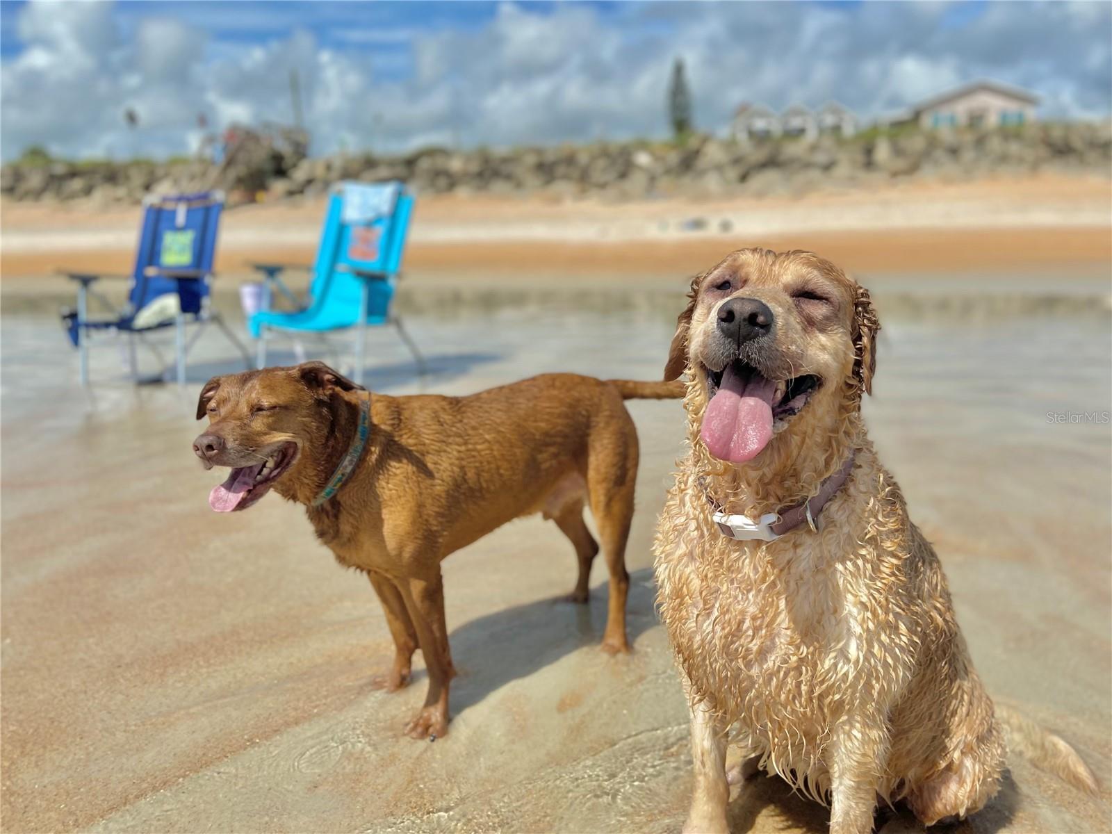 1811 N CENTRAL AVE, FLAGLER BEACH, FL, 32136