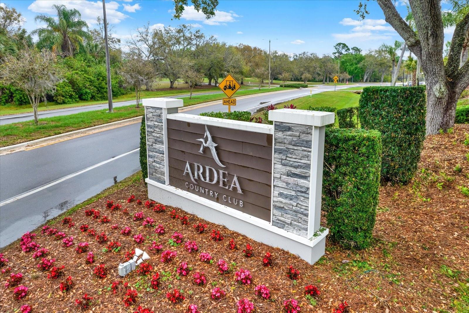 50 BALSAM DR, OLDSMAR, FL, 34677