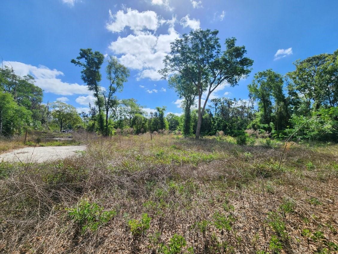 947 FERNE DR, LONGWOOD, FL, 32779