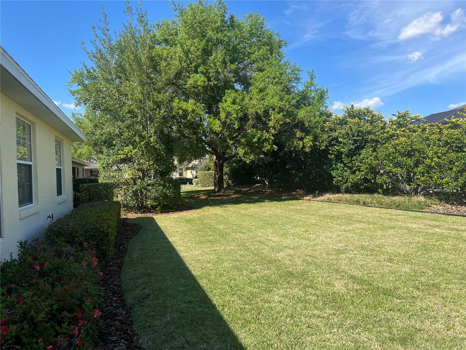 8229 SW 86TH COURT RD, OCALA, FL, 34481