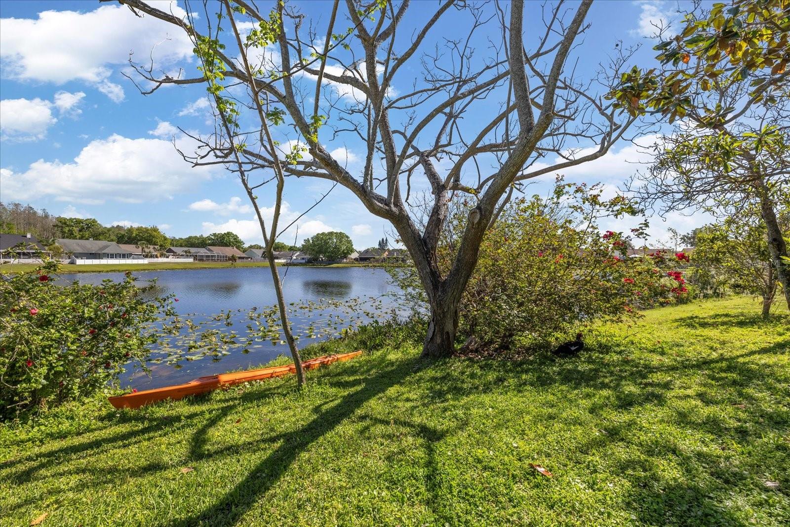 8719 OSAGE DR, TAMPA, FL, 33634
