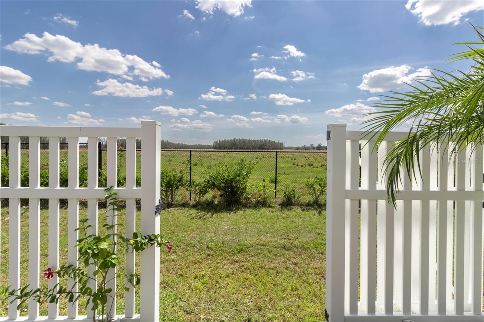 11895 CRESTRIDGE LOOP, NEW PORT RICHEY, FL, 34655