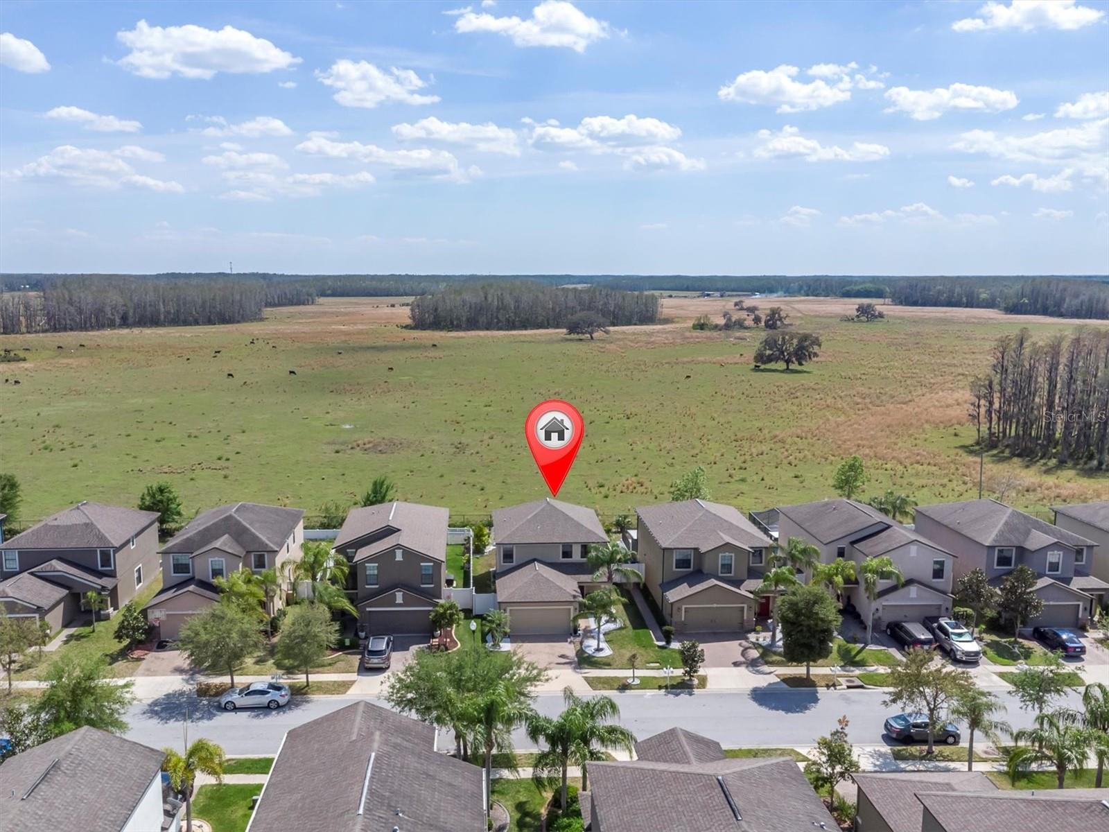 11895 CRESTRIDGE LOOP, NEW PORT RICHEY, FL, 34655