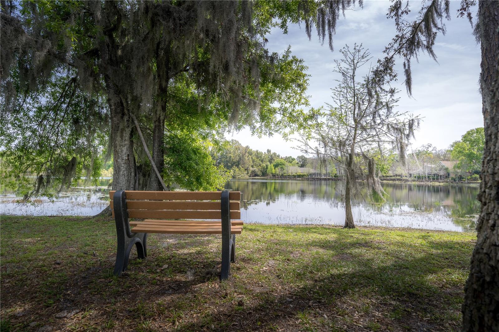 2206 GREEN OAKS LN, TAMPA, FL, 33612