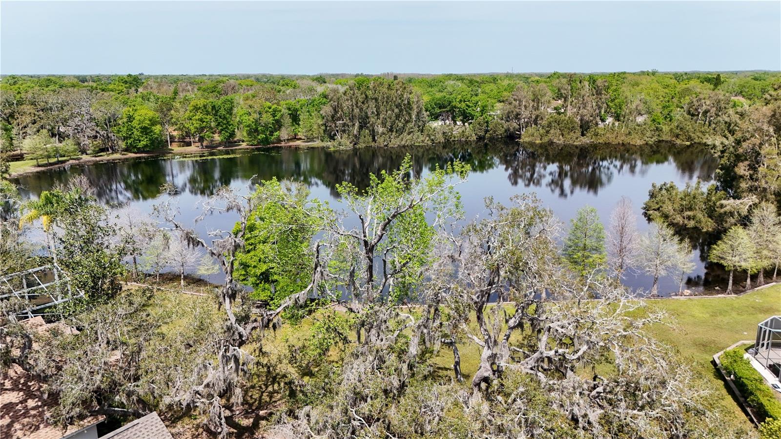 2206 GREEN OAKS LN, TAMPA, FL, 33612