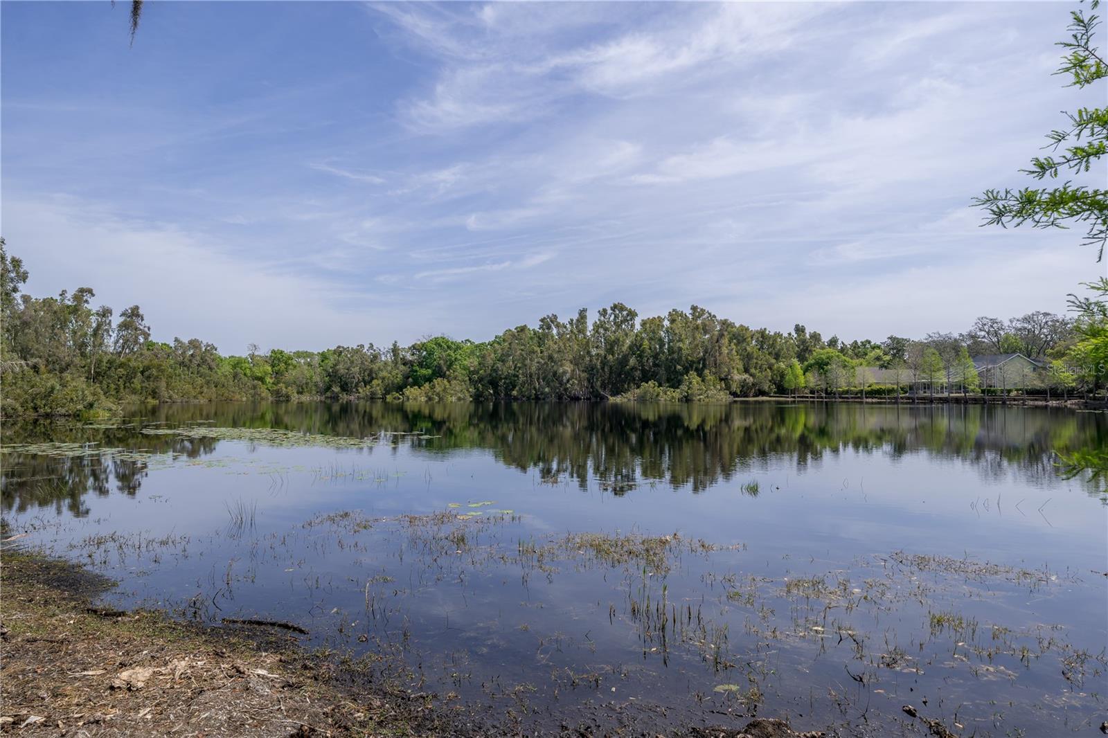 2206 GREEN OAKS LN, TAMPA, FL, 33612