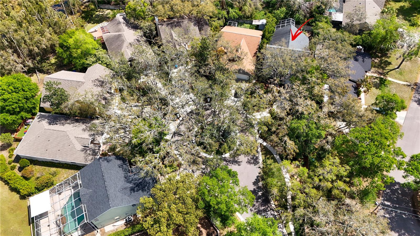 2206 GREEN OAKS LN, TAMPA, FL, 33612