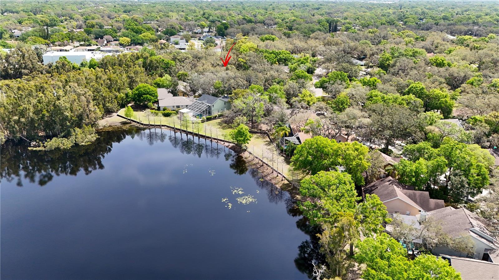2206 GREEN OAKS LN, TAMPA, FL, 33612