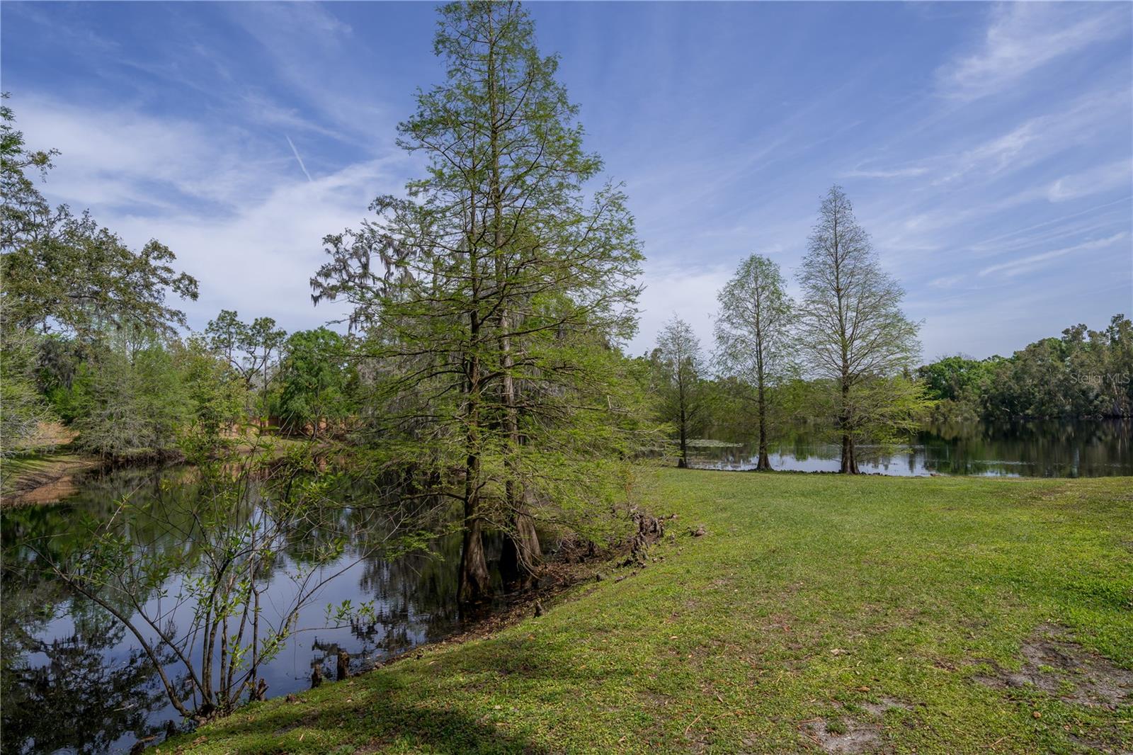 2206 GREEN OAKS LN, TAMPA, FL, 33612