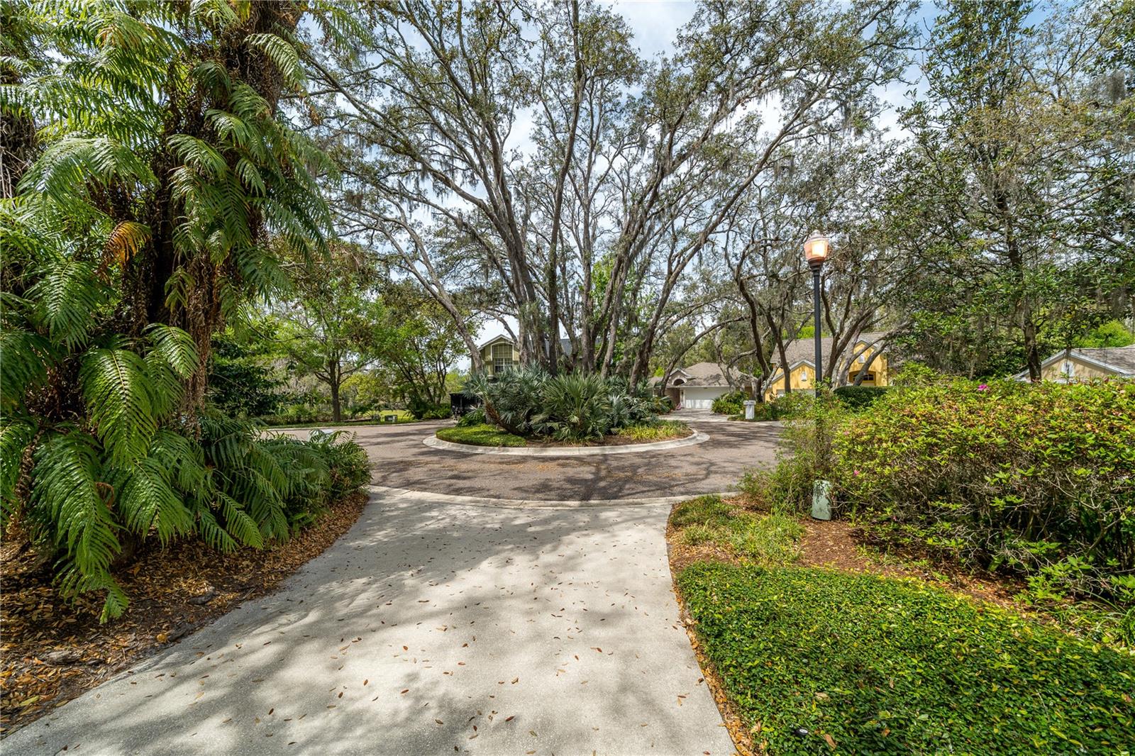 2206 GREEN OAKS LN, TAMPA, FL, 33612