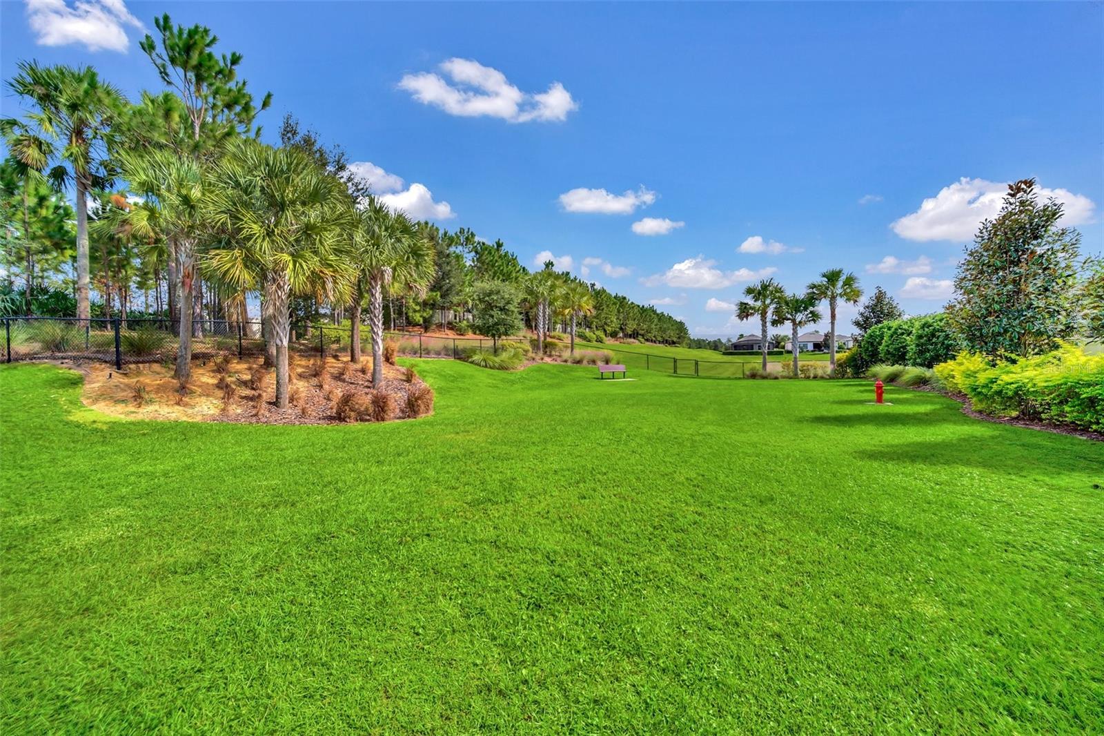 1023 TIMBERVALE TRL, CLERMONT, FL, 34715