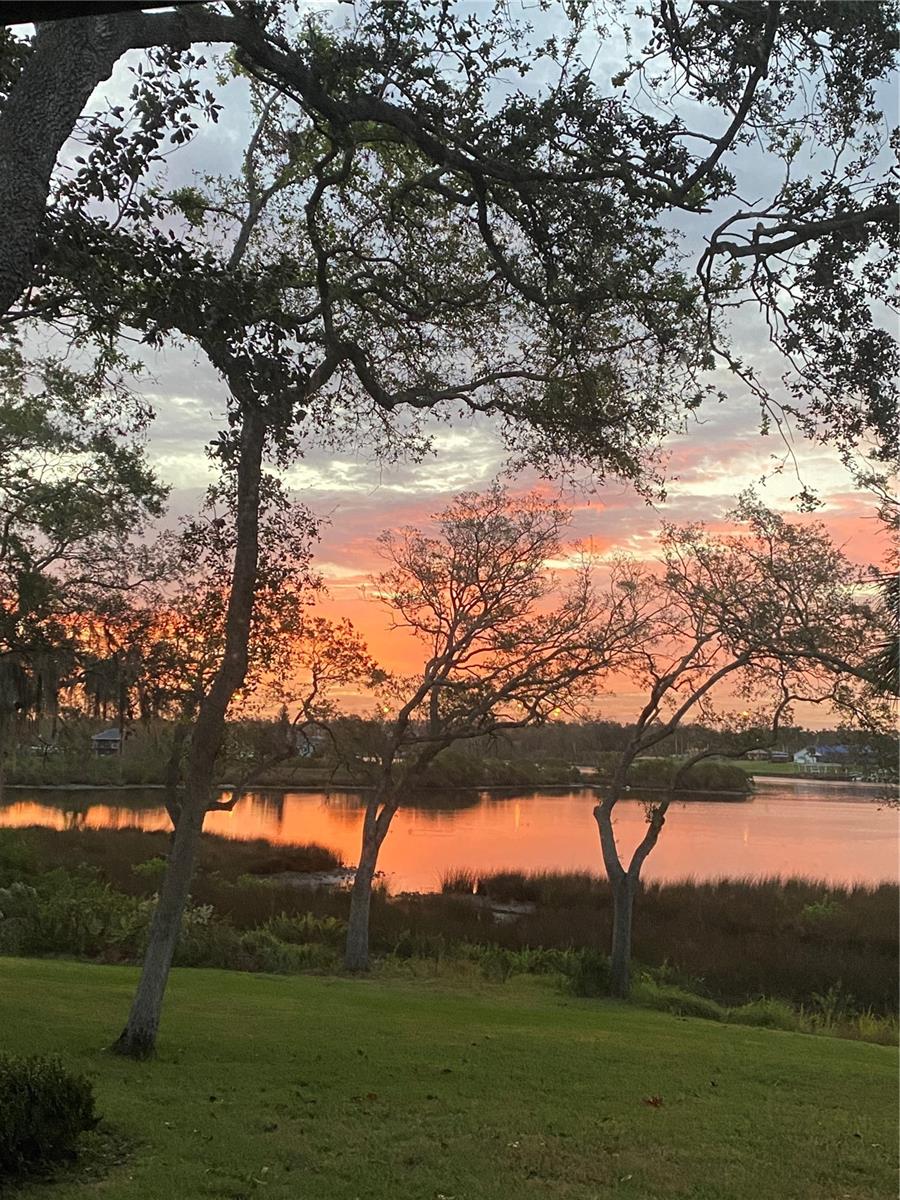 8910 EAGLE WATCH DR, RIVERVIEW, FL, 33578
