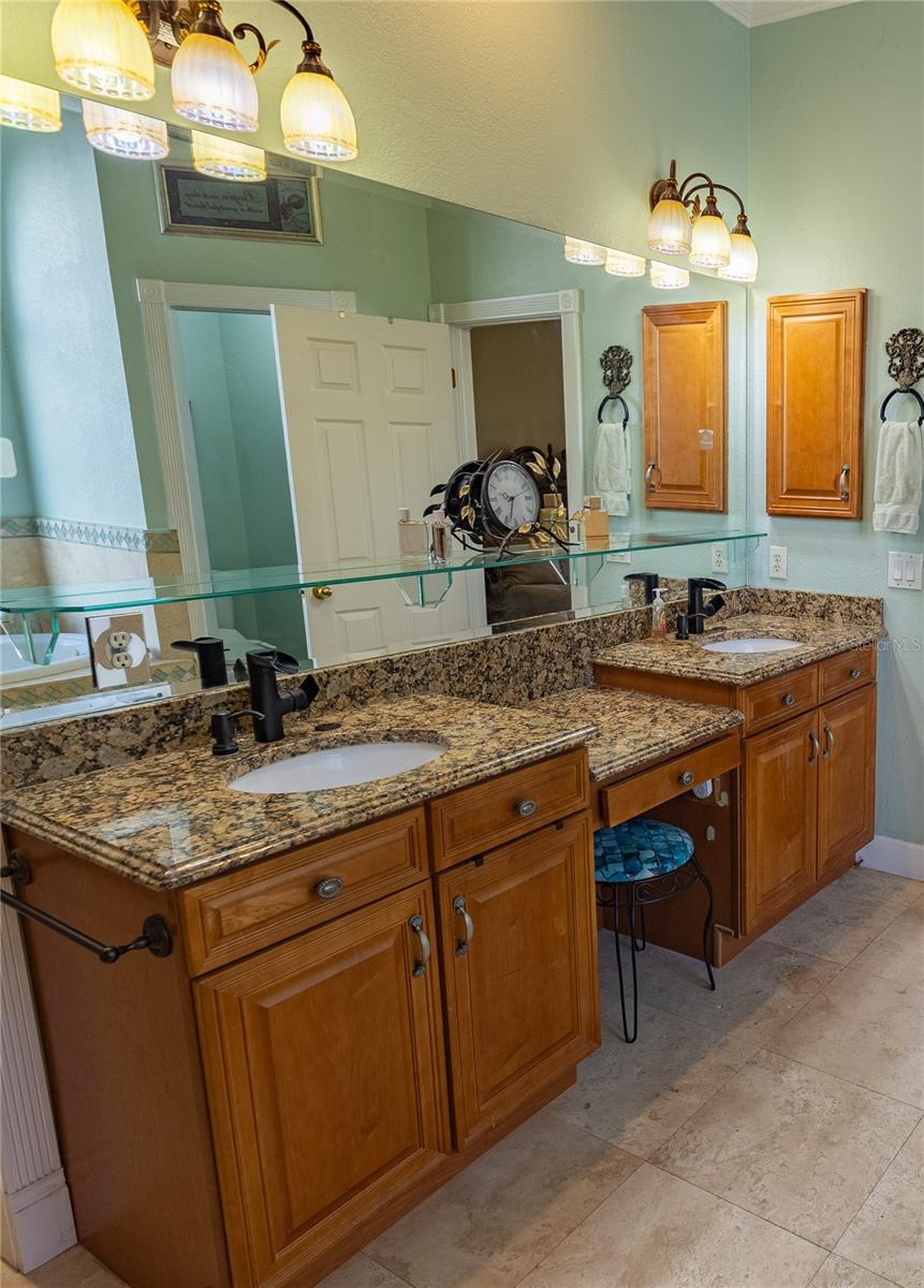8910 EAGLE WATCH DR, RIVERVIEW, FL, 33578