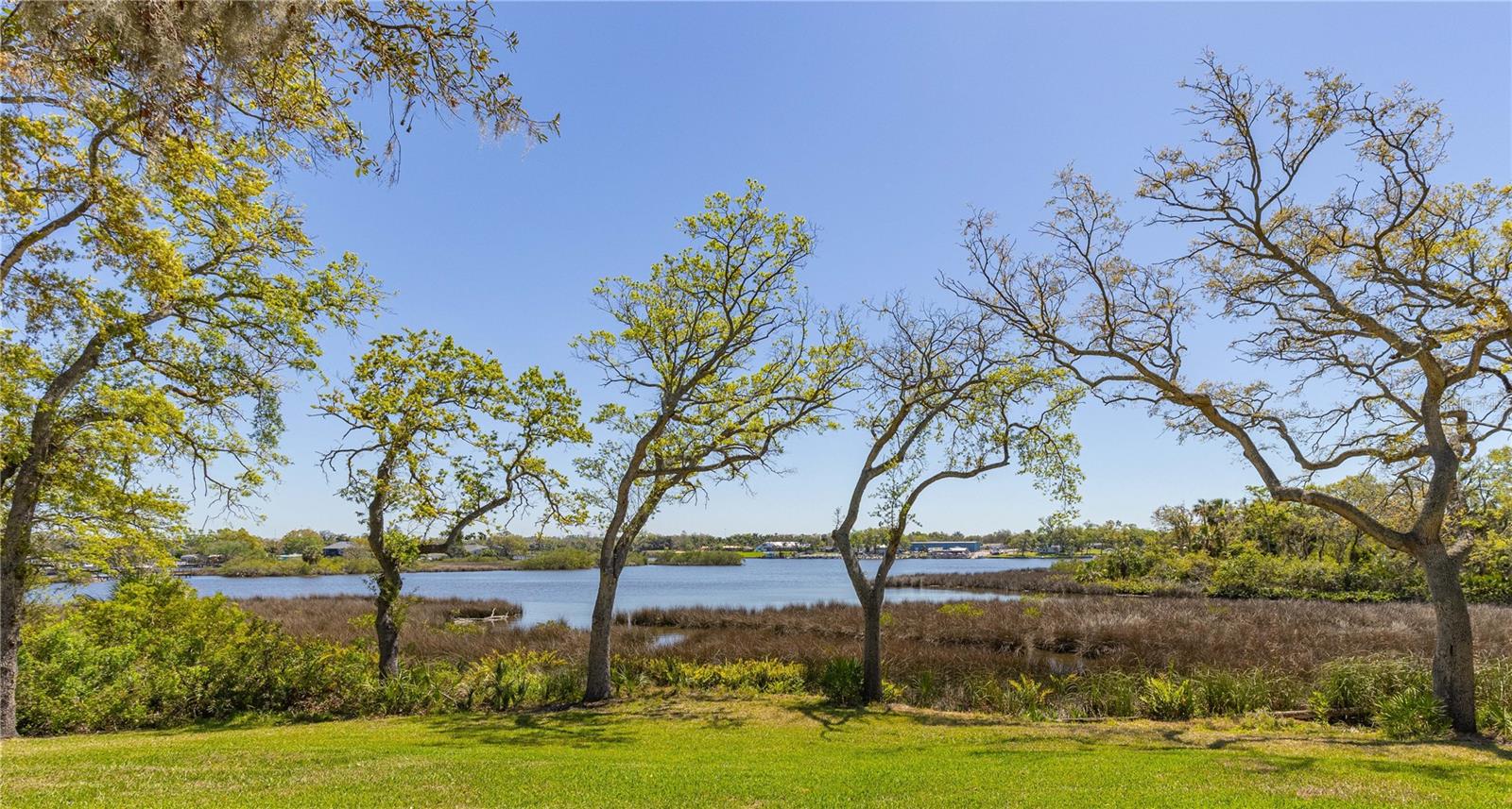 8910 EAGLE WATCH DR, RIVERVIEW, FL, 33578