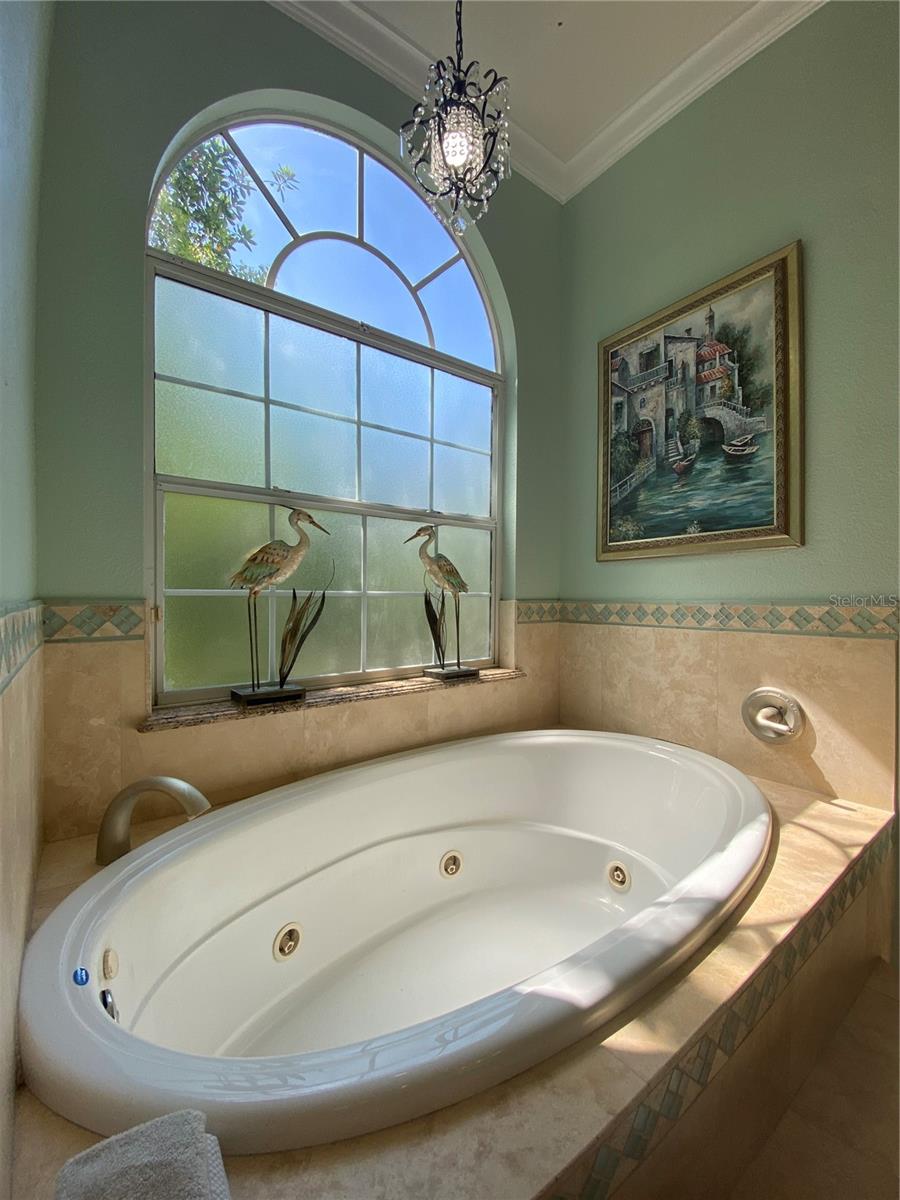 8910 EAGLE WATCH DR, RIVERVIEW, FL, 33578
