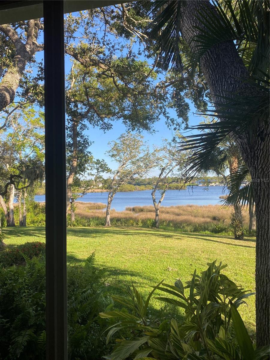 8910 EAGLE WATCH DR, RIVERVIEW, FL, 33578