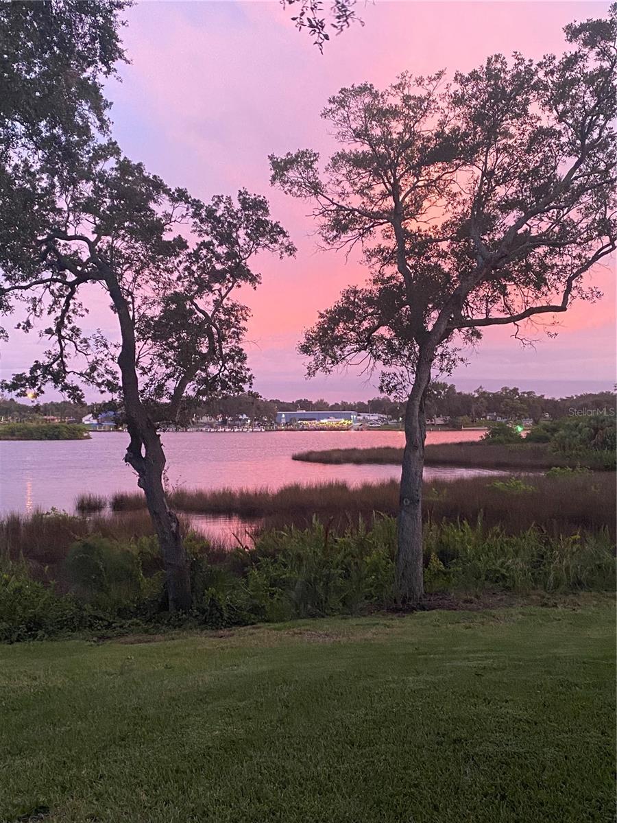 8910 EAGLE WATCH DR, RIVERVIEW, FL, 33578