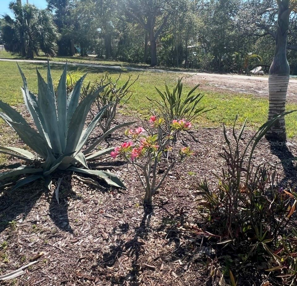 321 RAVENNA ST N, NOKOMIS, FL, 34275
