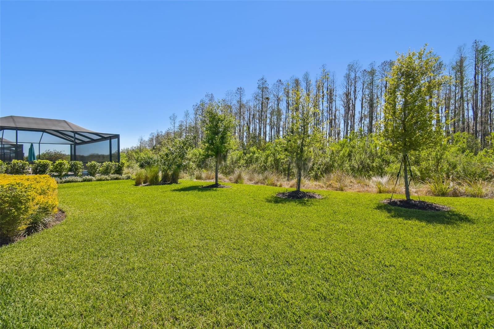 29488 GINNETTO DR, WESLEY CHAPEL, FL, 33543