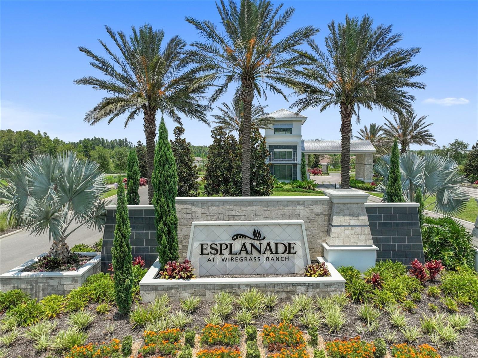 29488 GINNETTO DR, WESLEY CHAPEL, FL, 33543