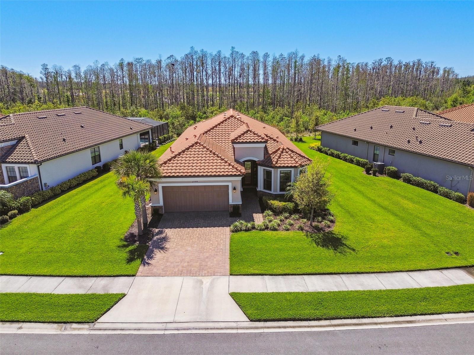 29488 GINNETTO DR, WESLEY CHAPEL, FL, 33543