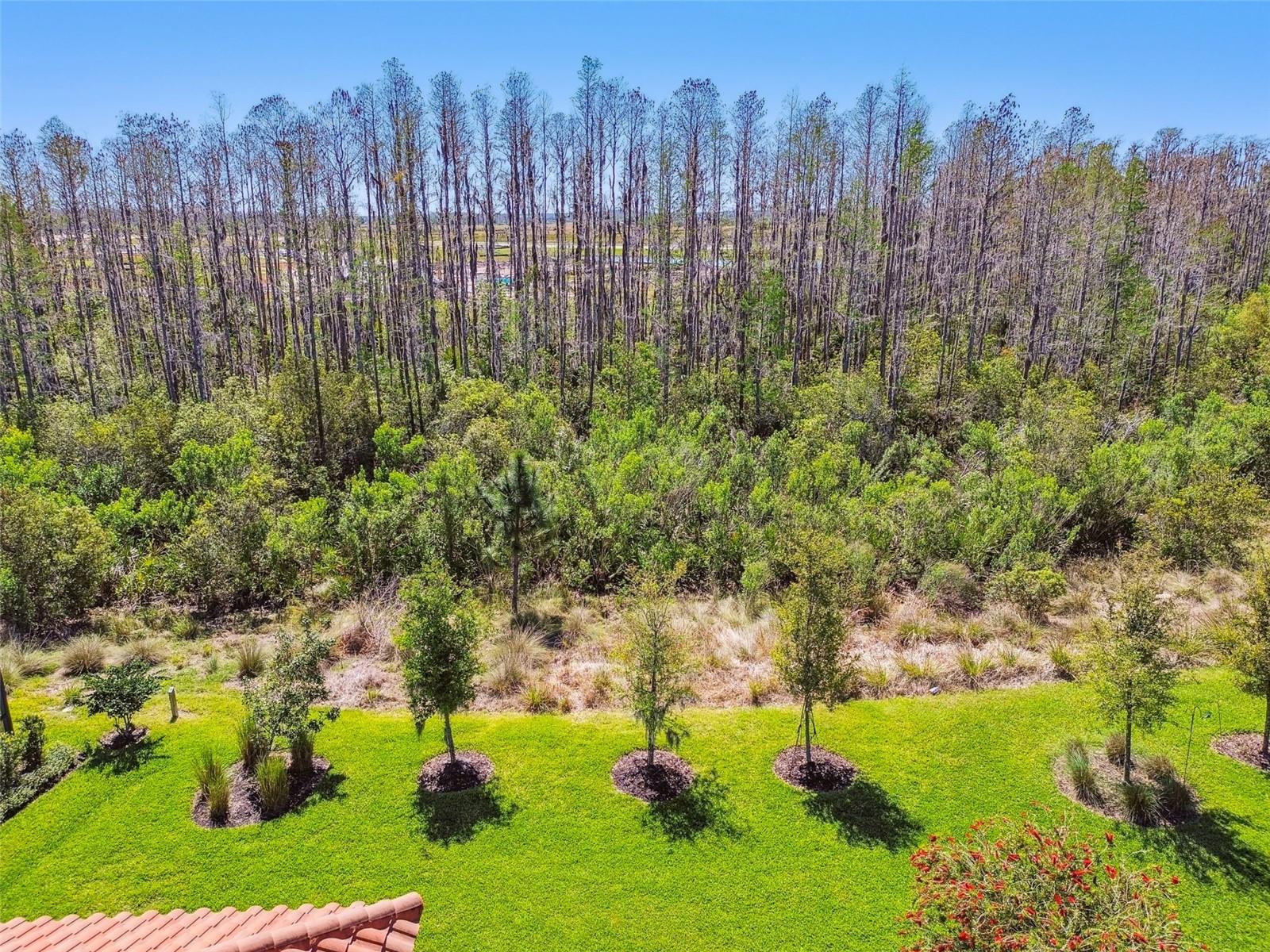 29488 GINNETTO DR, WESLEY CHAPEL, FL, 33543