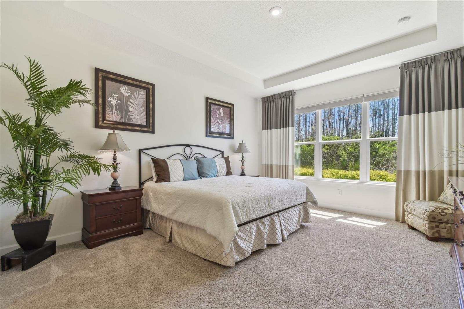 29488 GINNETTO DR, WESLEY CHAPEL, FL, 33543