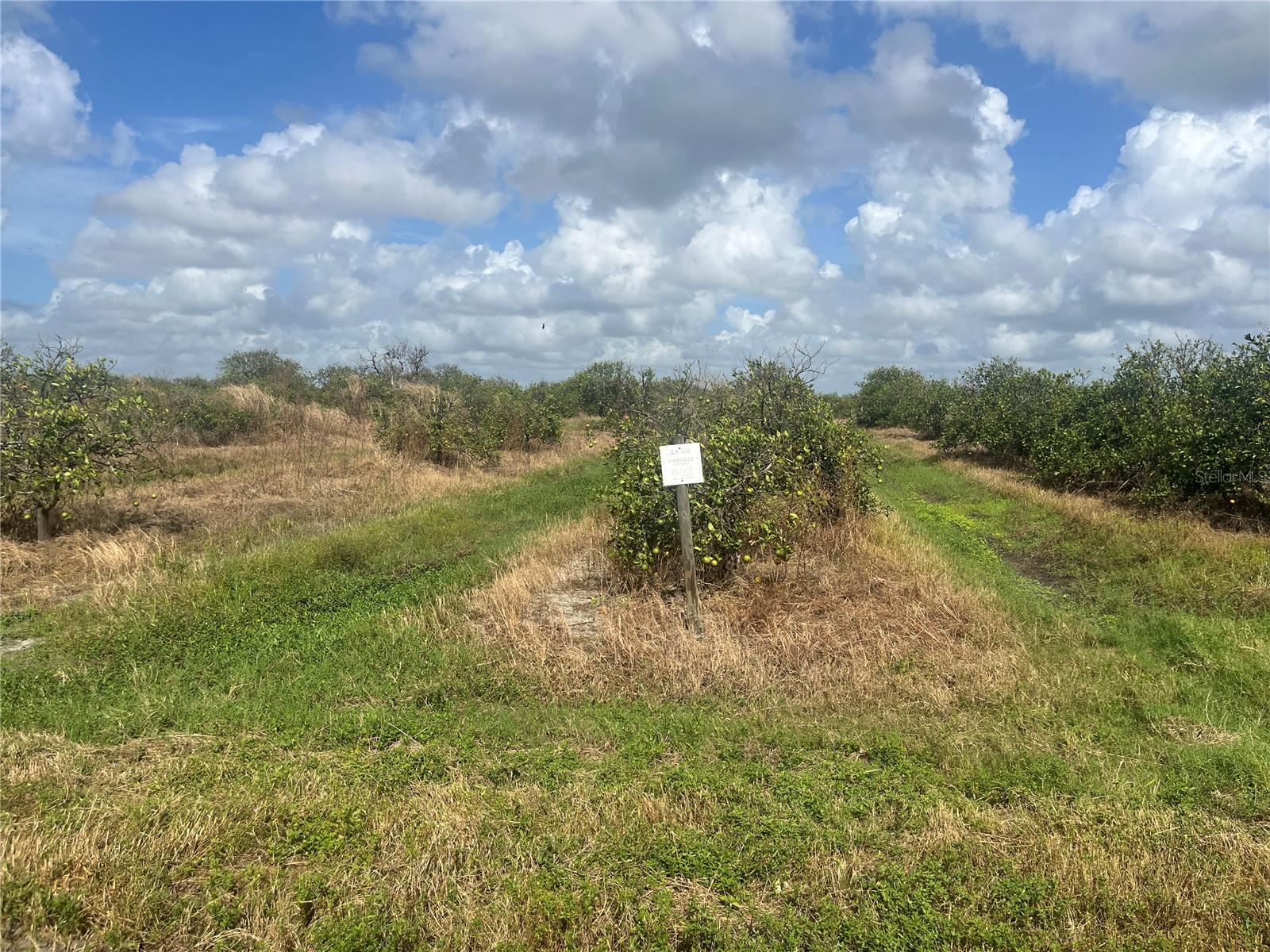 NE HIGHWAY 70, ARCADIA, FL, 34266