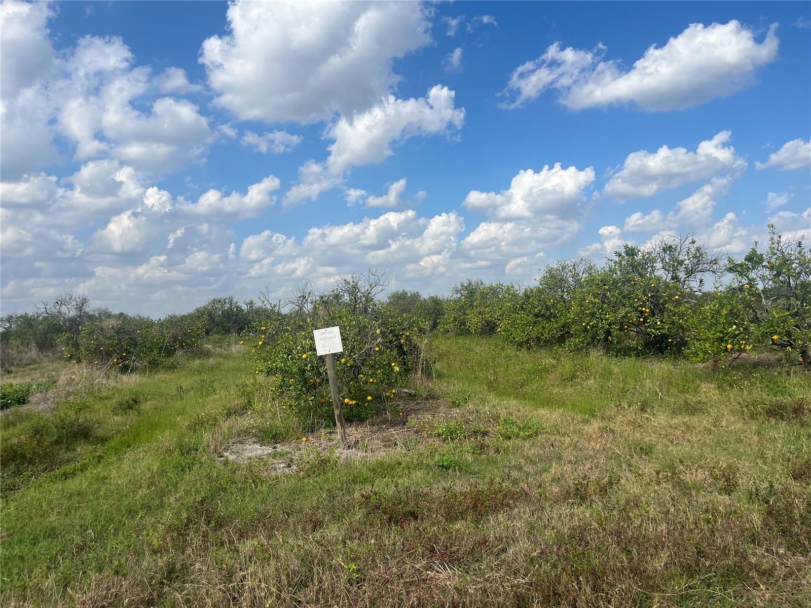 NE HIGHWAY 70, ARCADIA, FL, 34266