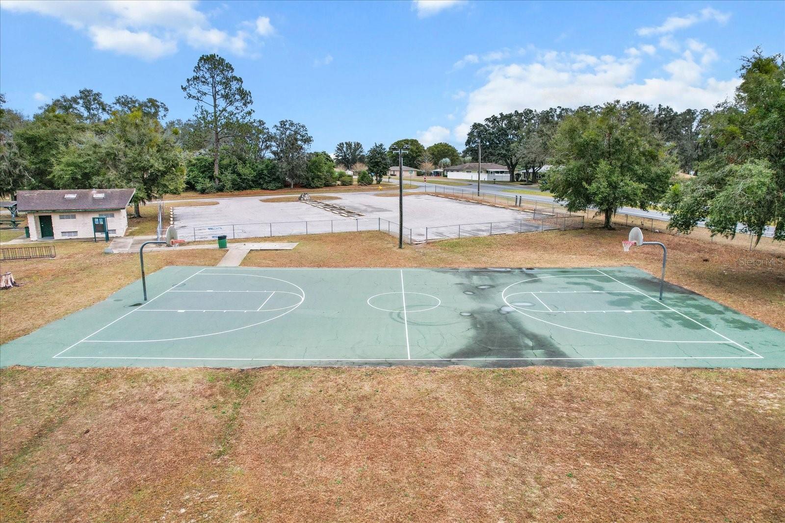 10966 N TRIGGER TER, CITRUS SPRINGS, FL, 34433