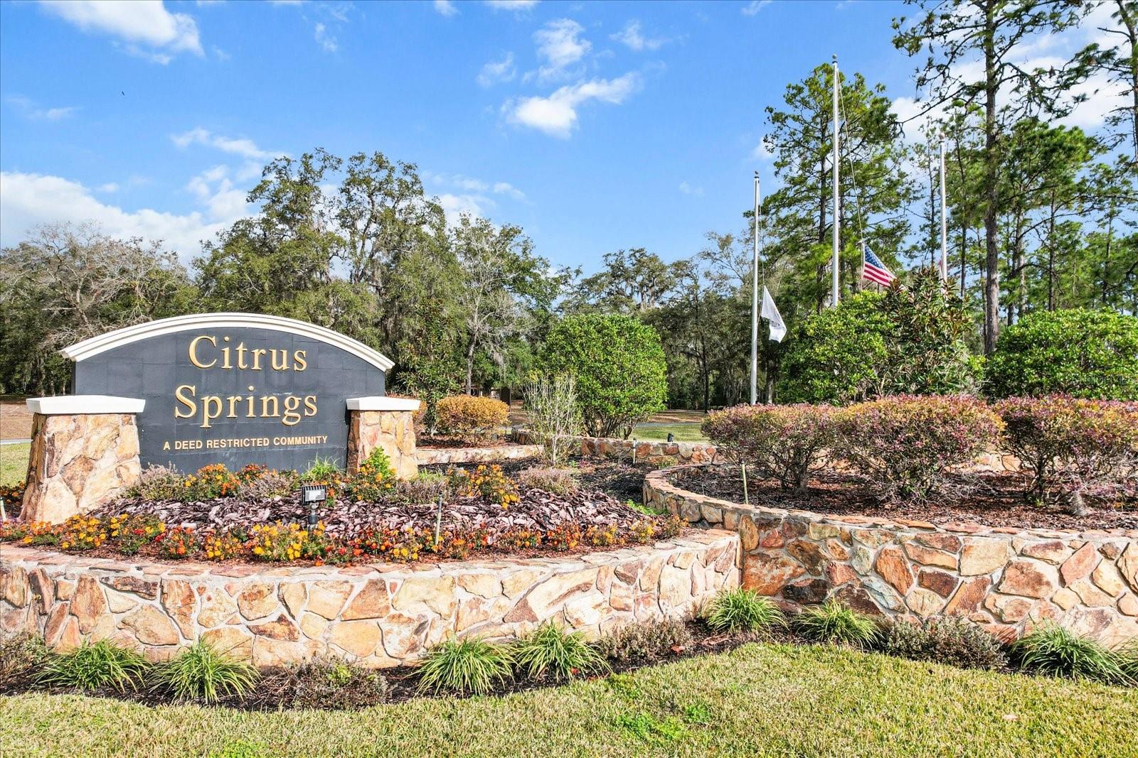 10966 N TRIGGER TER, CITRUS SPRINGS, FL, 34433