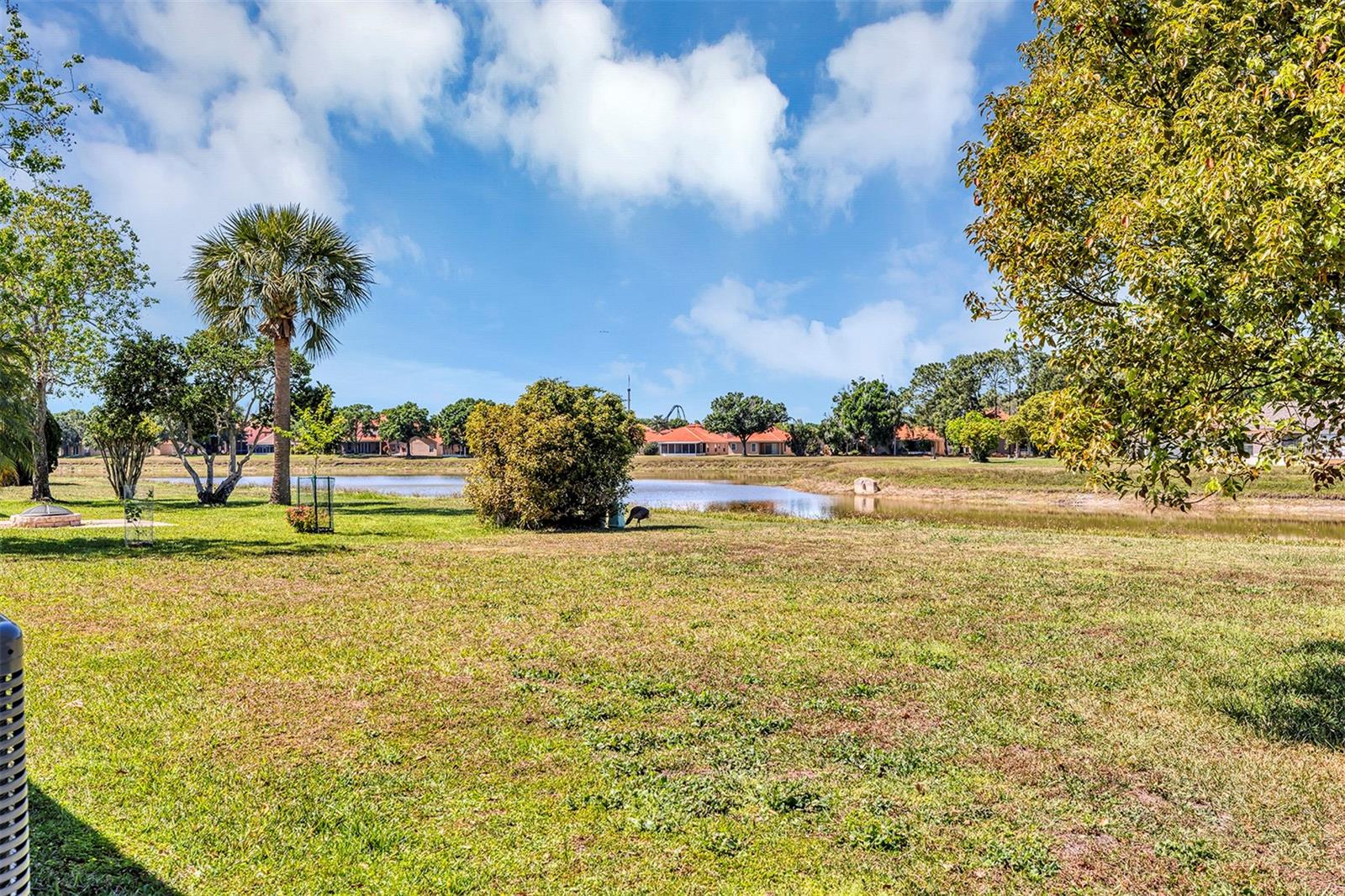 5307 SANDY HILL DR, ORLANDO, FL, 32821