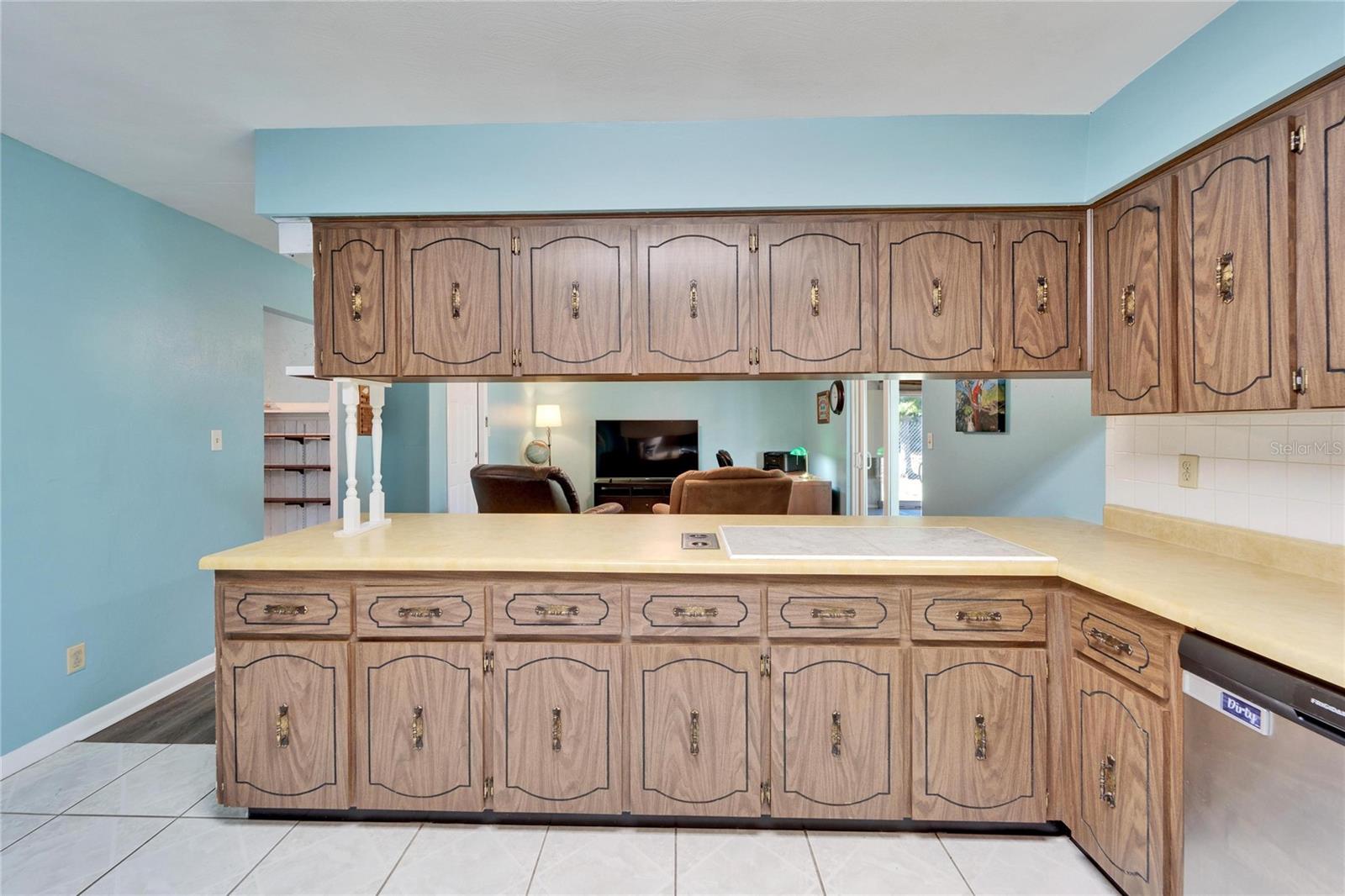 1006 MANDALAY DR, BRANDON, FL, 33511