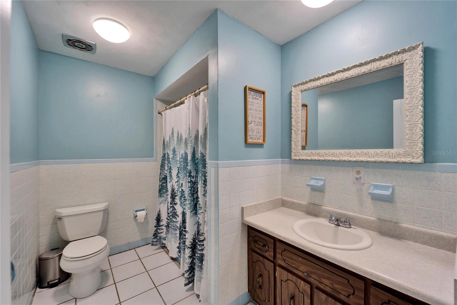 1006 MANDALAY DR, BRANDON, FL, 33511
