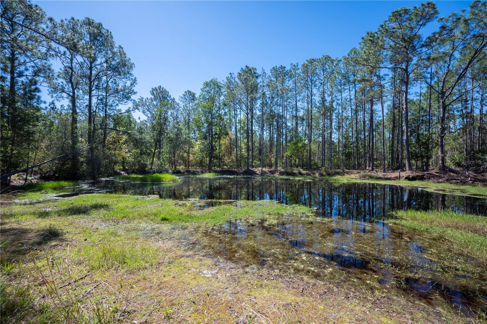 18770 COMMONWEALTH AVE N, POLK CITY, FL, 33868