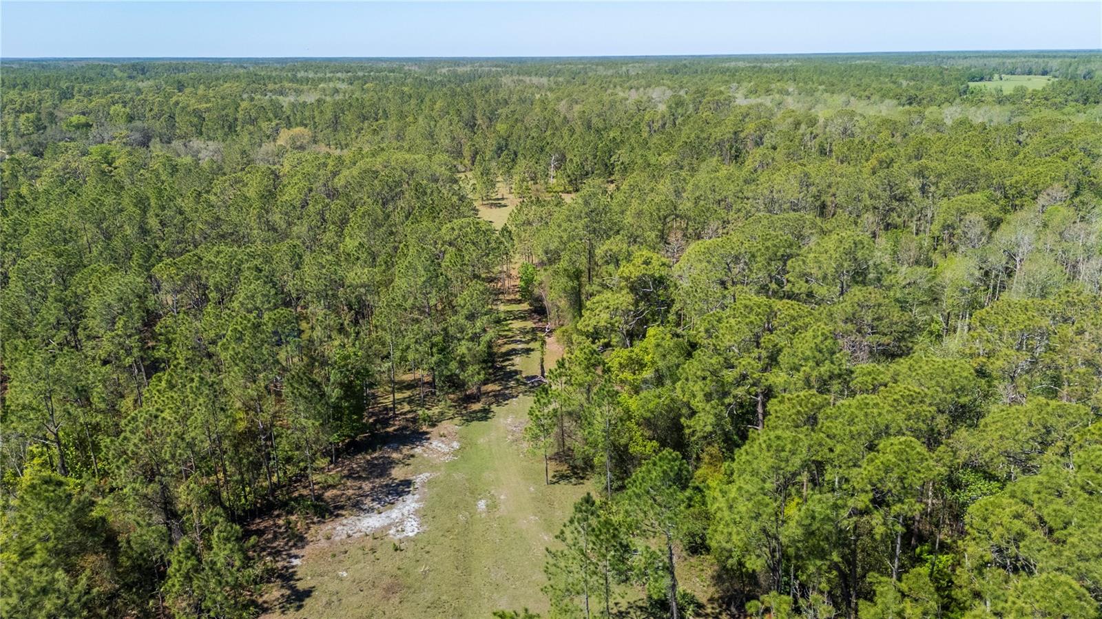 18770 COMMONWEALTH AVE N, POLK CITY, FL, 33868