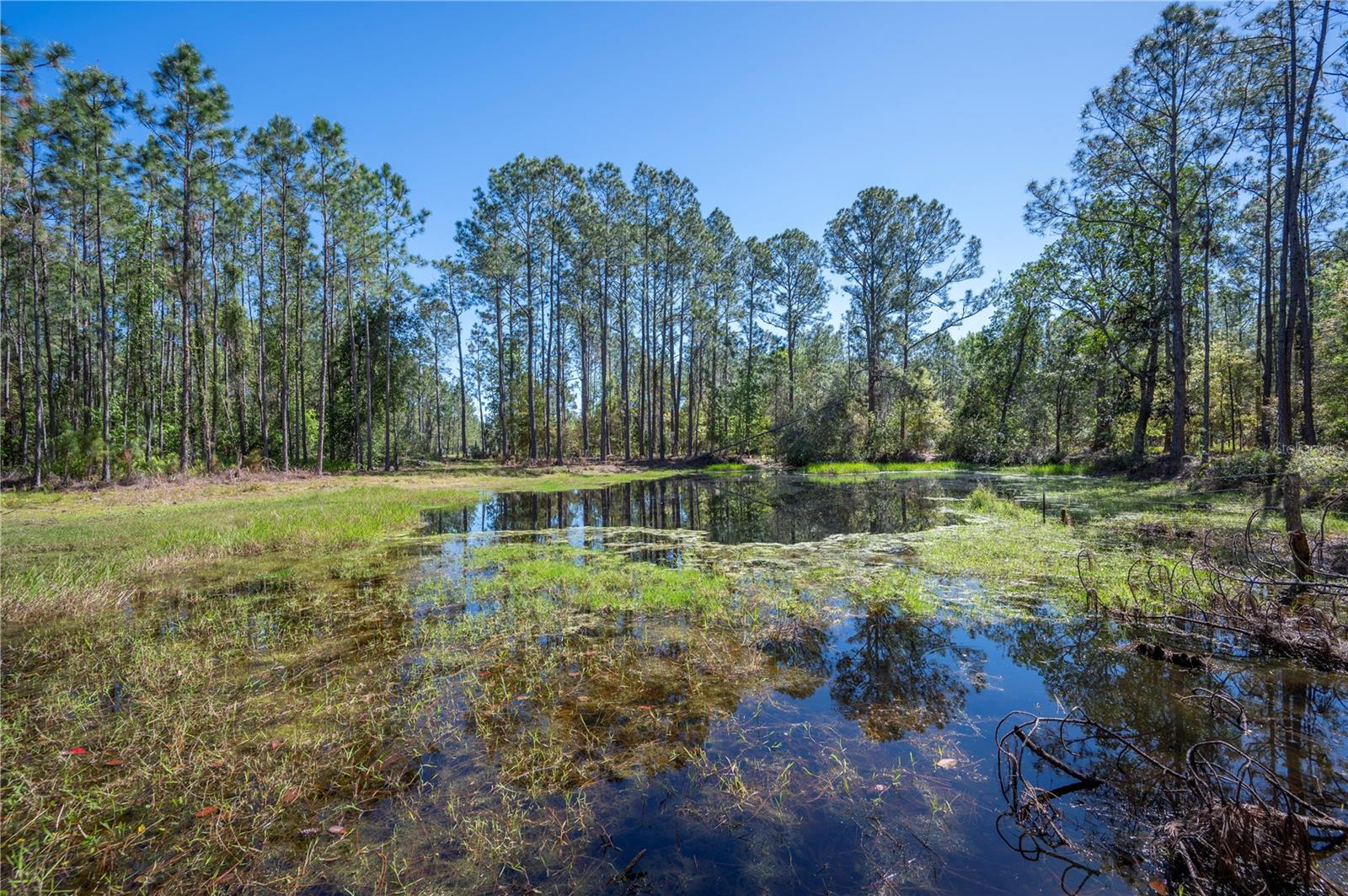 18770 COMMONWEALTH AVE N, POLK CITY, FL, 33868
