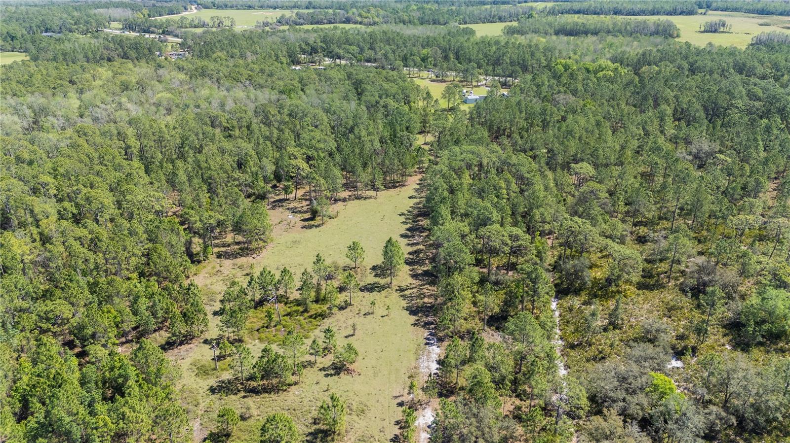 18770 COMMONWEALTH AVE N, POLK CITY, FL, 33868