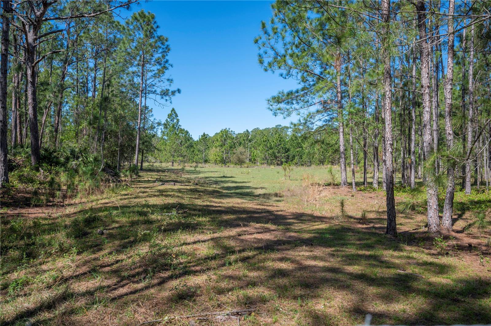 18770 COMMONWEALTH AVE N, POLK CITY, FL, 33868