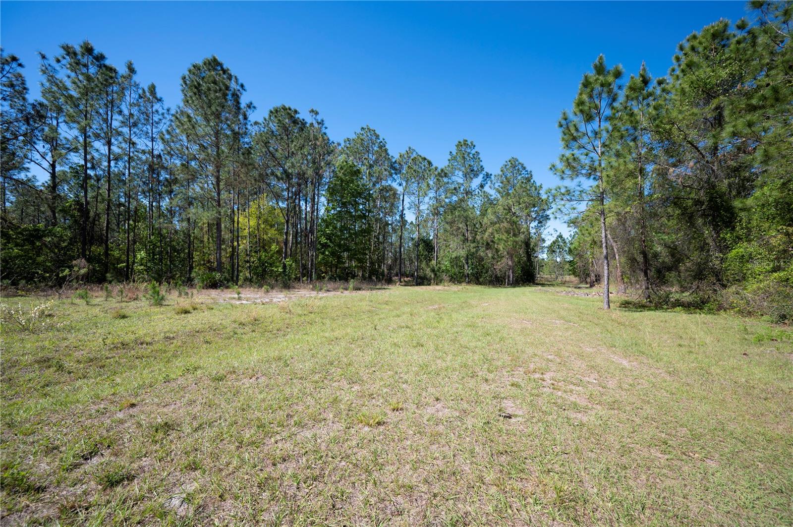 18770 COMMONWEALTH AVE N, POLK CITY, FL, 33868