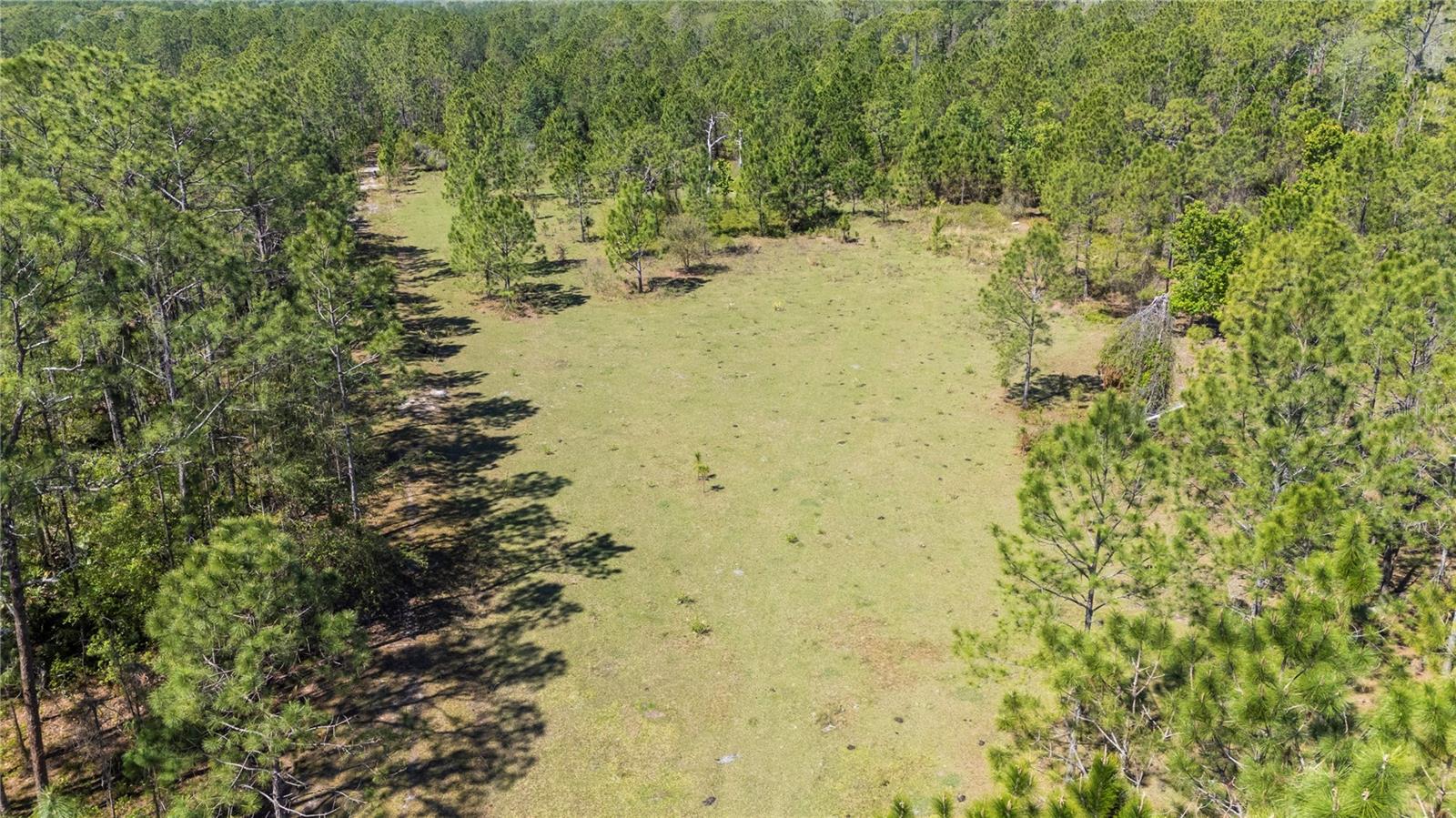 18770 COMMONWEALTH AVE N, POLK CITY, FL, 33868