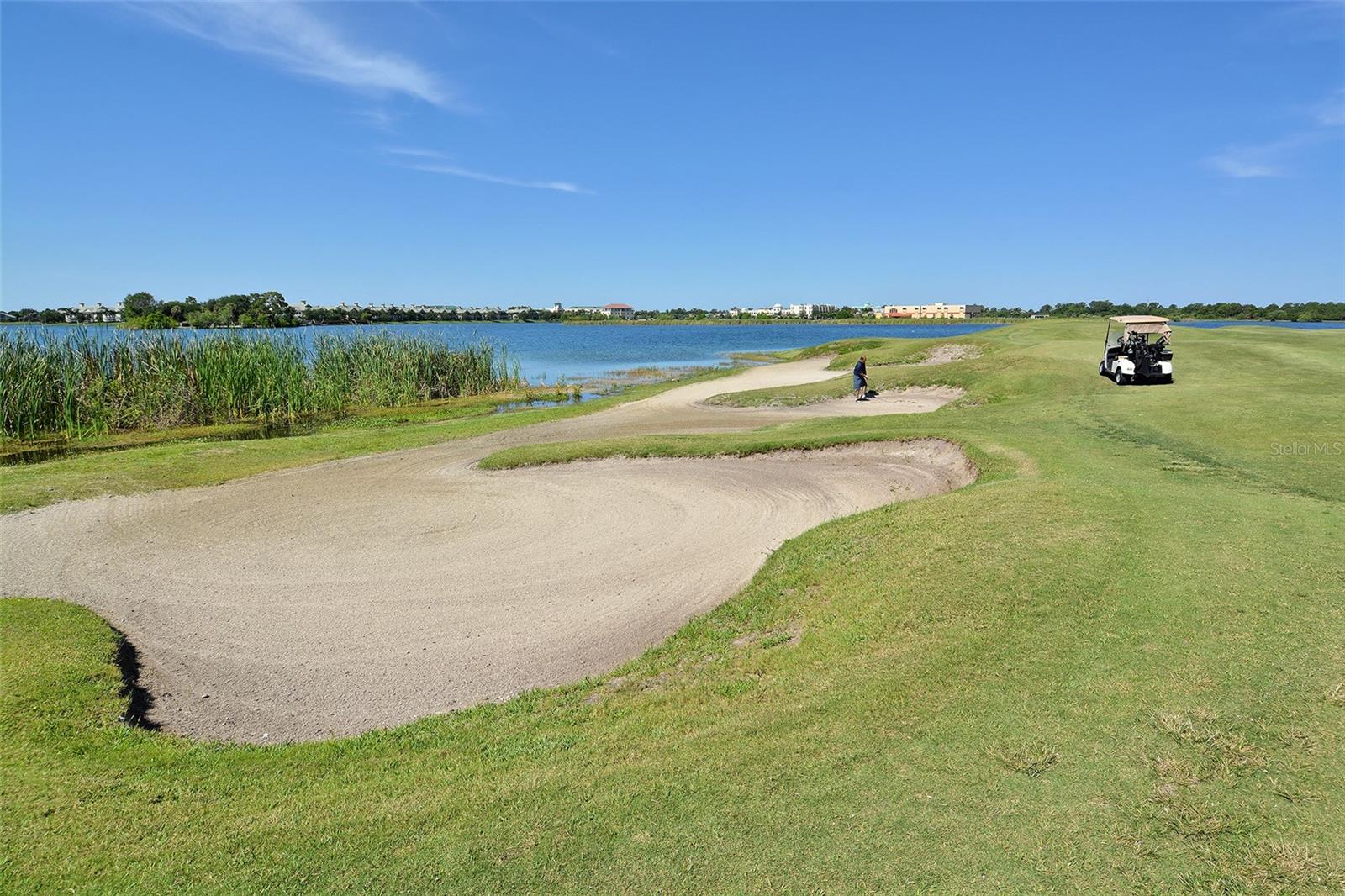 6482 WATERCREST WAY #203, LAKEWOOD RANCH, FL, 34202