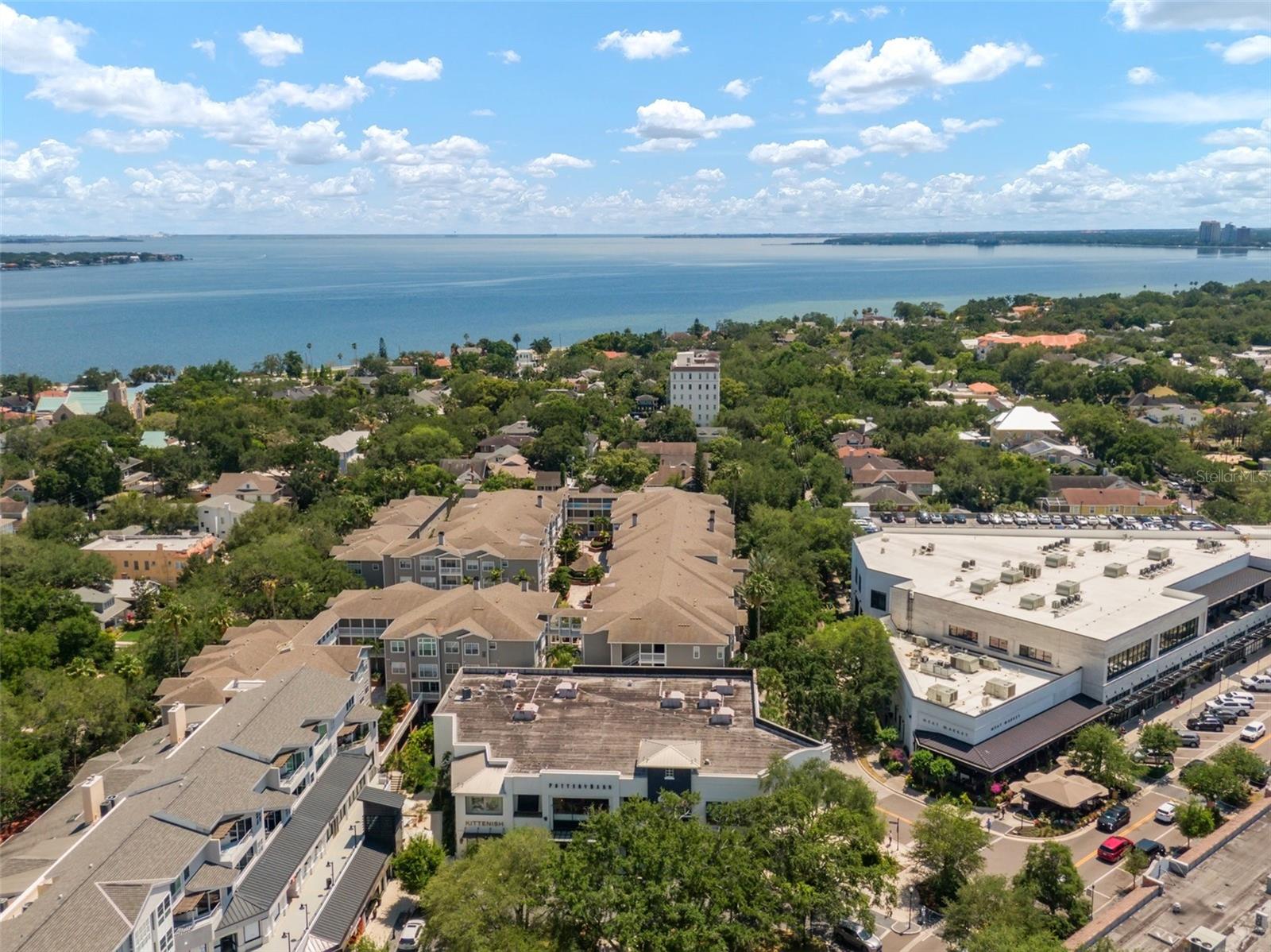 800 S DAKOTA AVE #221, TAMPA, FL, 33606