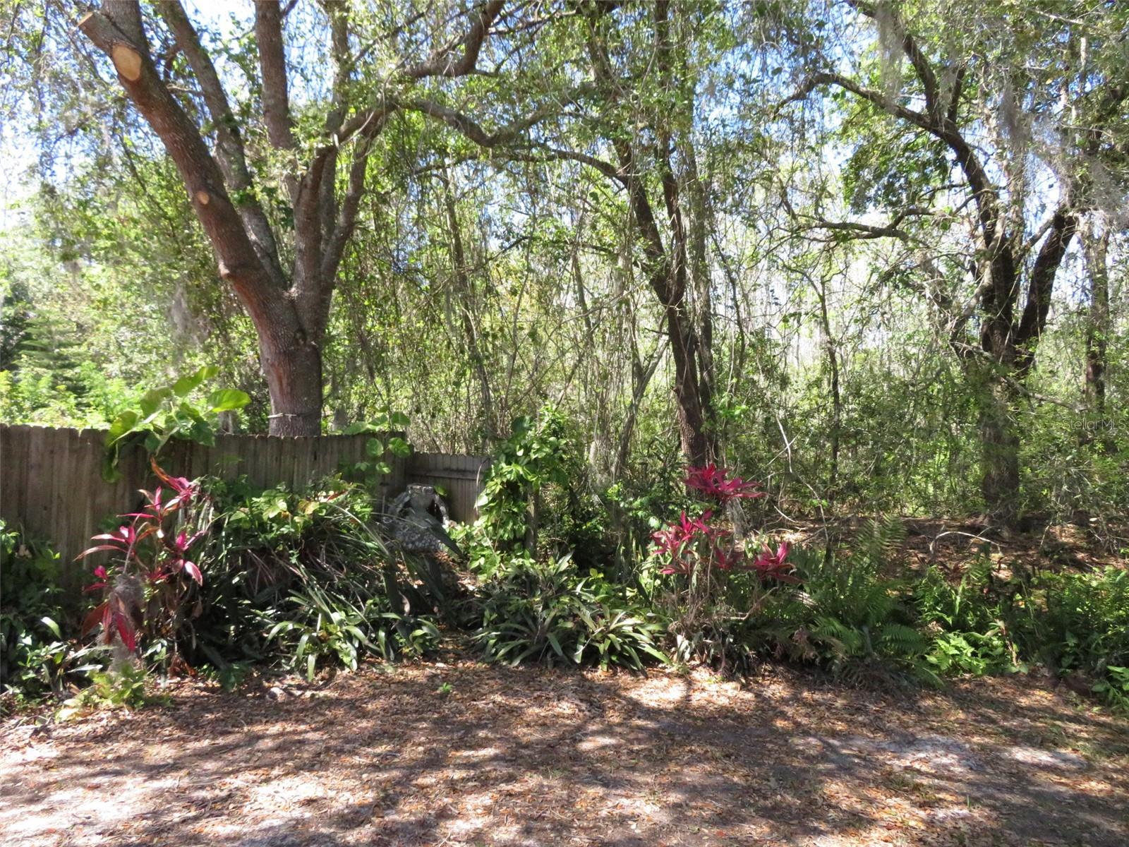 824 OAK CHASE DR, ORLANDO, FL, 32828
