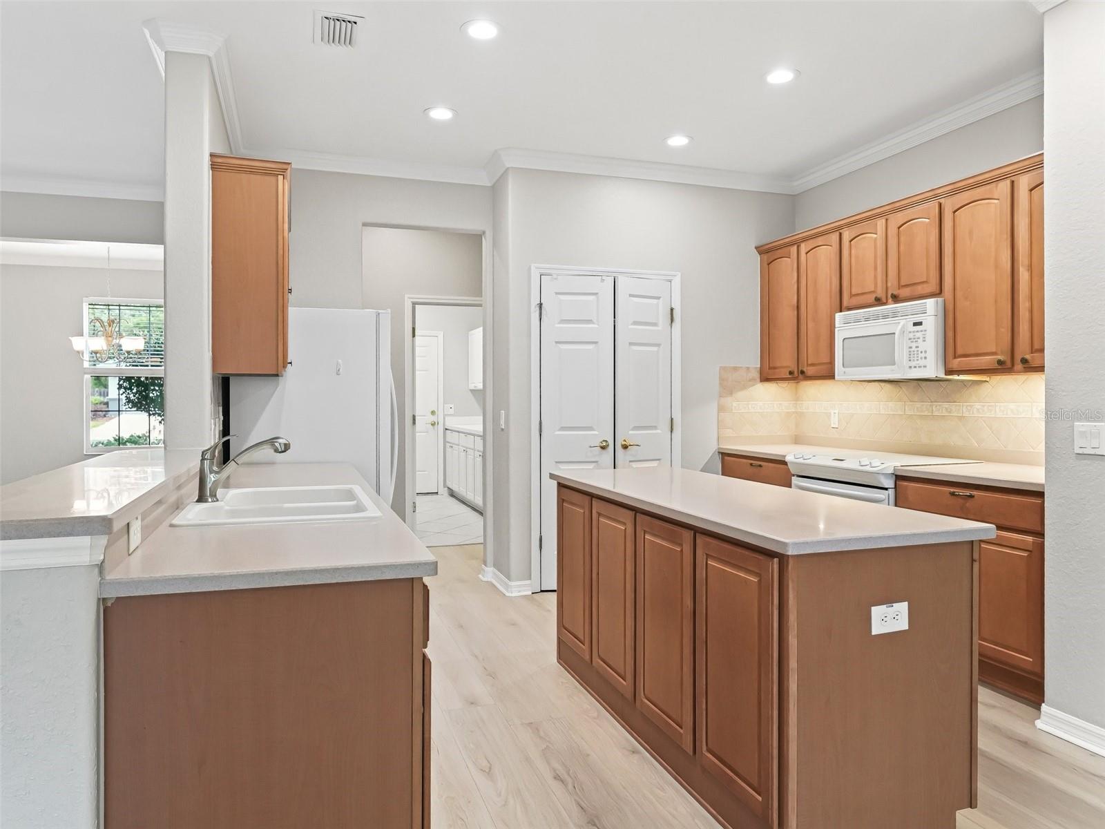 11759 SE 91ST CIR, SUMMERFIELD, FL, 34491
