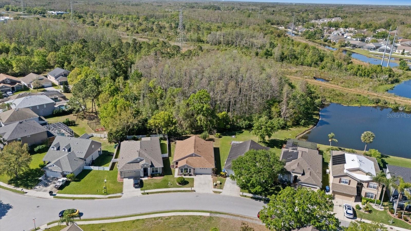 2625 MICAH DR, TRINITY, FL, 34655