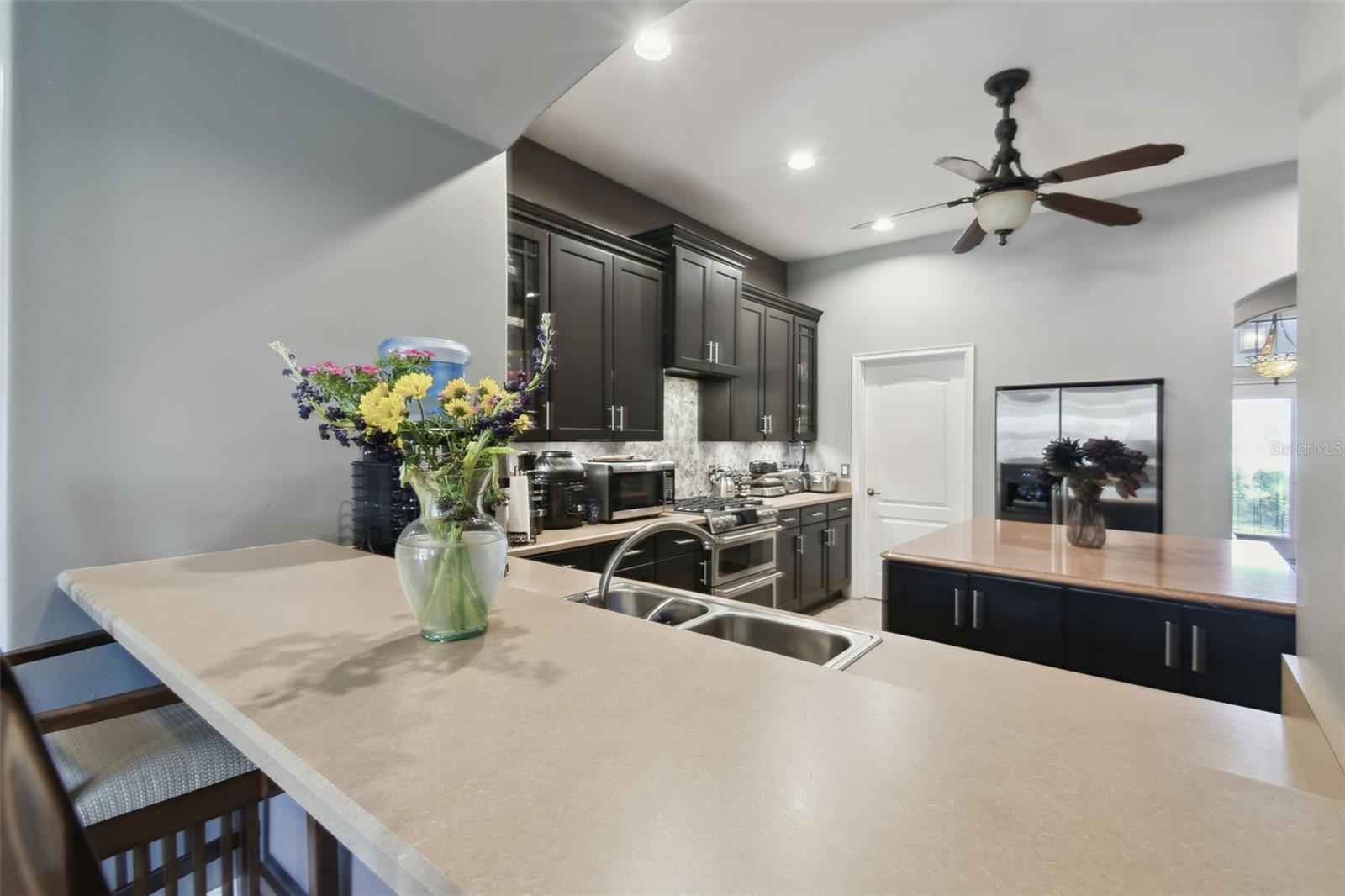 1233 BRAMLEY LN, DELAND, FL, 32720