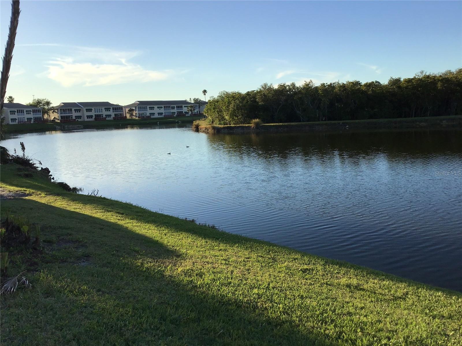 9860 62ND TER N #1036, ST PETERSBURG, FL, 33708