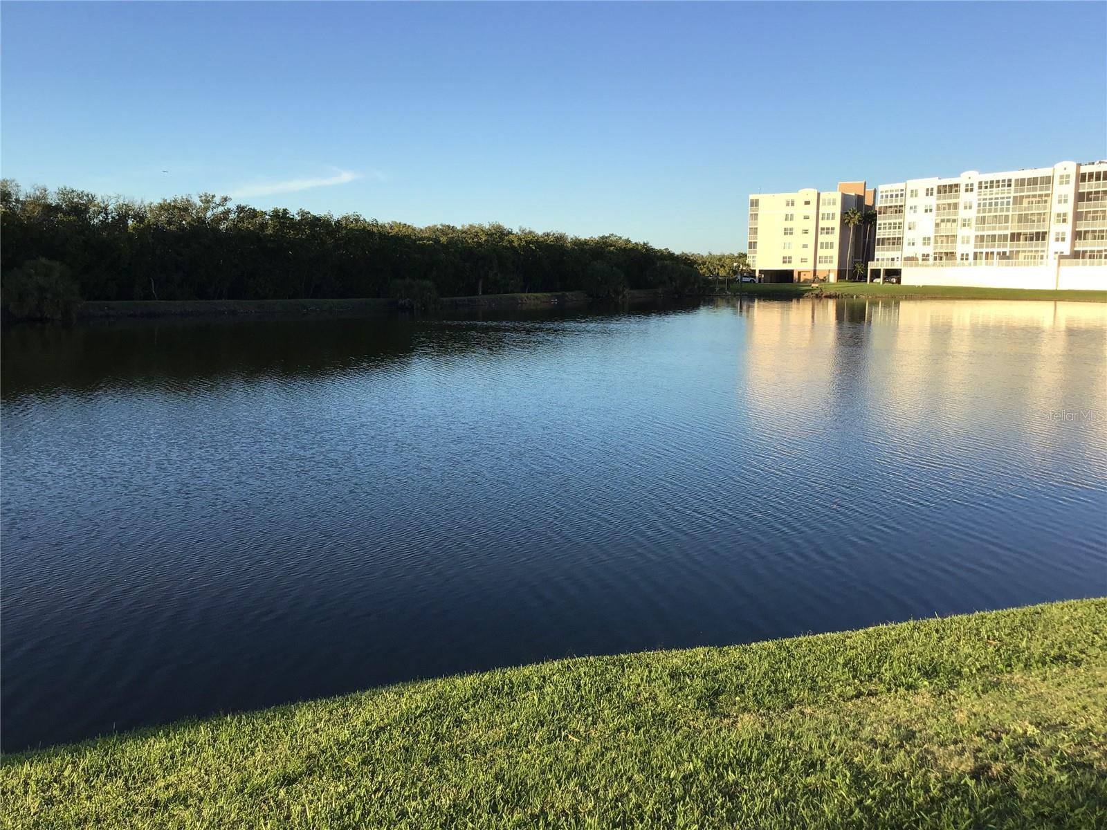 9860 62ND TER N #1036, ST PETERSBURG, FL, 33708
