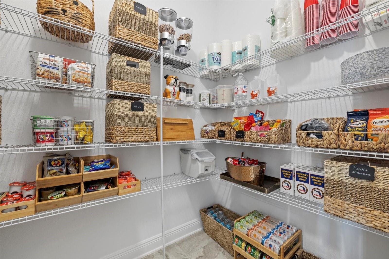 33105 KATELAND DR, WESLEY CHAPEL, FL, 33545